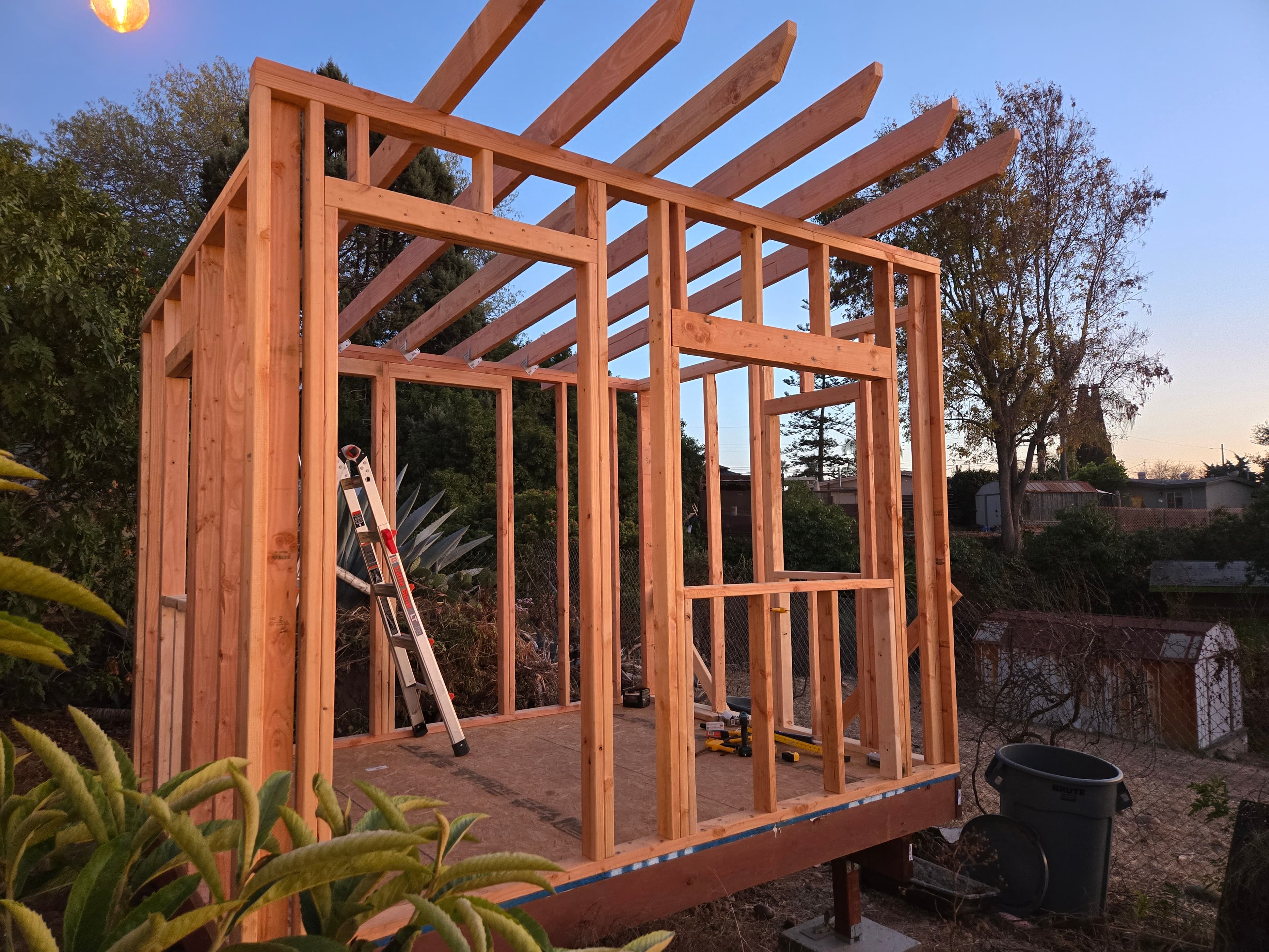 shed framing nearly complete